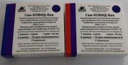 Гам-КОВИД-Вак р-р для в/м введ. компонент I-0.5 мл/доза 1 мл (2 дозы) + компонент II-0.5 мл/доза 1 мл (2 дозы) 5+5 шт.