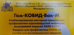Гам-КОВИД-Вак-М р-р для в/м введ. компонент I-0.5 мл/доза 3 мл (5 доз) + компонент II-0.5 мл/доза 3 мл (5 доз) 1+1 шт.