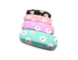 Футляр для очков