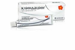 Клиндацин крем ваг. 2% 40 г 1 шт.